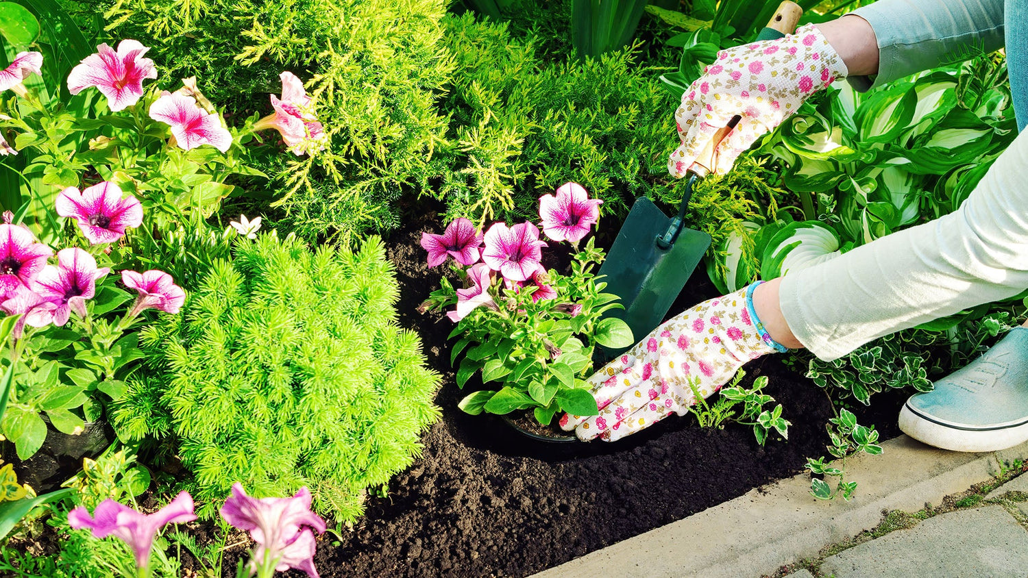 6 Highly Effective Fall Gardening Tips to Prepare Your Plants for Winter