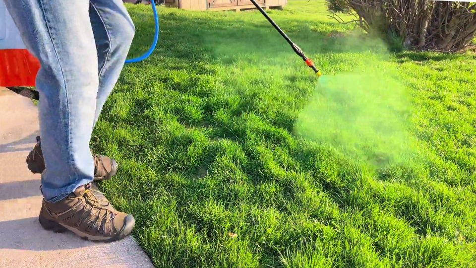 Grass Paint – Yes, It’s A Real Thing
