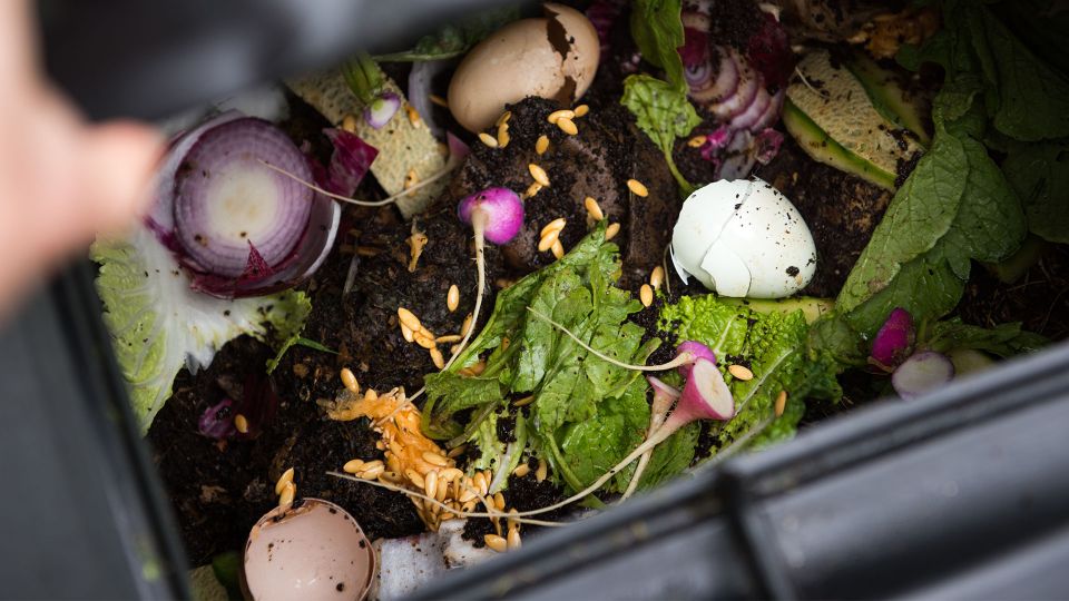 Creative Ways to Make Your Own Organic Compost Indoors and Outdoors