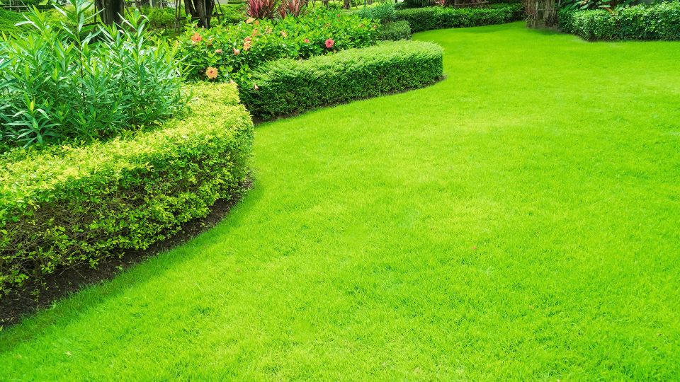 For a Lush, Deep, Green Lawn Try Nitrogen Fertilizer 28-0-0