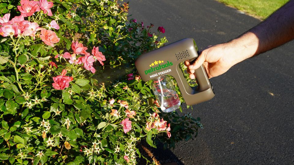 Using PetraTools mini fpgger in fogging an outdoor plant