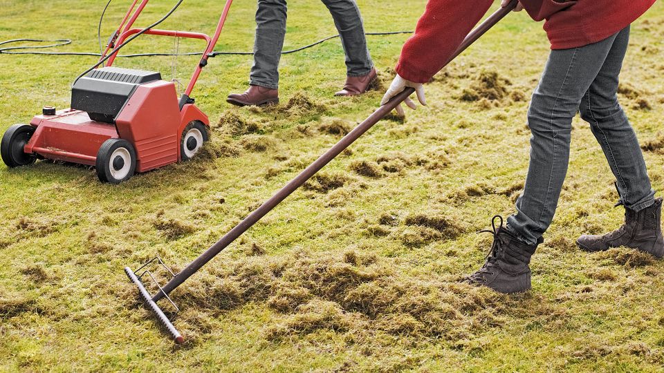 When to Dethatch the Lawn? A Winter Frost Preparation 