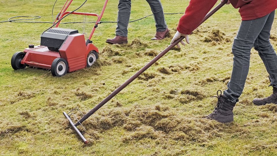 Process of detaching lawn