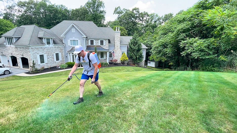 What Is Lawn Dye?