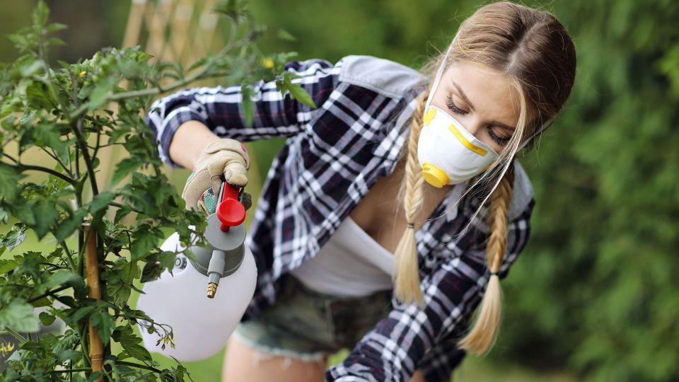 The Best Natural or Organic Pesticides You Can Use on Your Crops
