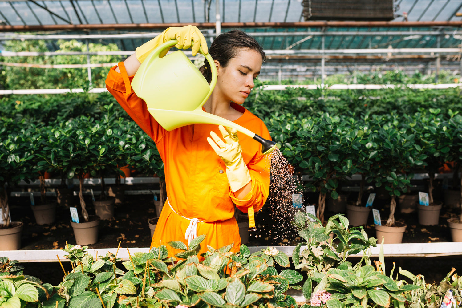 Safeguard Your Crops: The Best Natural And Organic Pesticides To Keep Your Plants Thriving