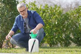 Liquid Lawn Dethatching Explained: Restore Lush Growth & Vibrant Color