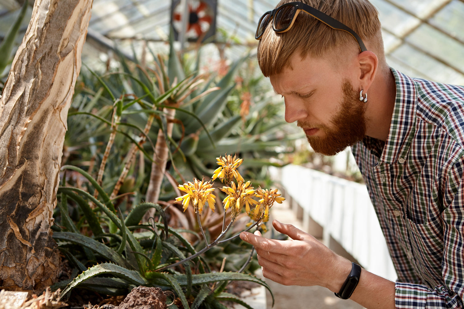Myco-what? Do Your Plants Need a Mycorrhizal Fungi?
